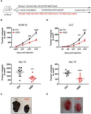 High Salt Inhibits Tumor Growth by Enhancing Anti-tumor Immunity